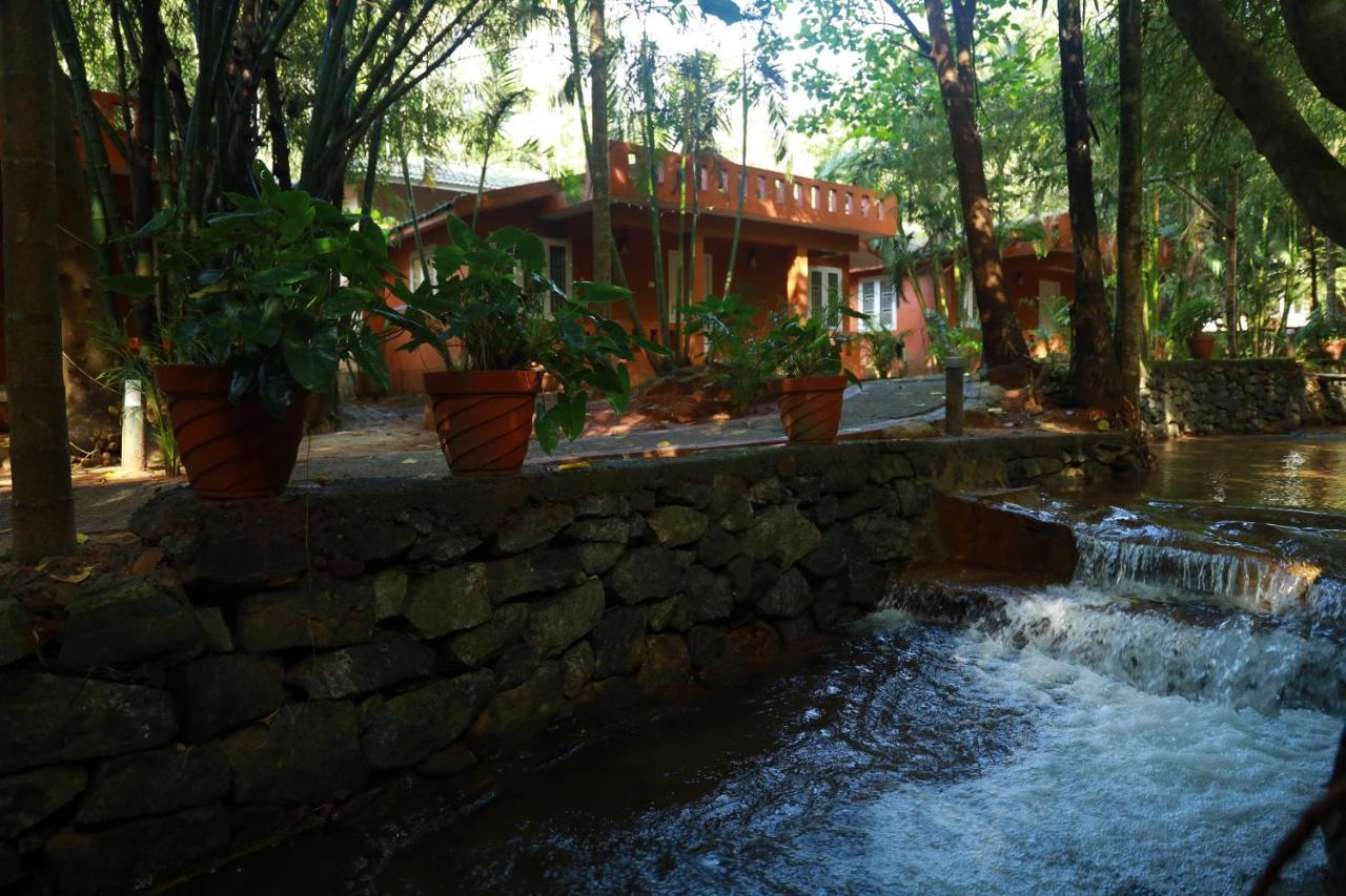 Nexstay Lakkidi Village 4*